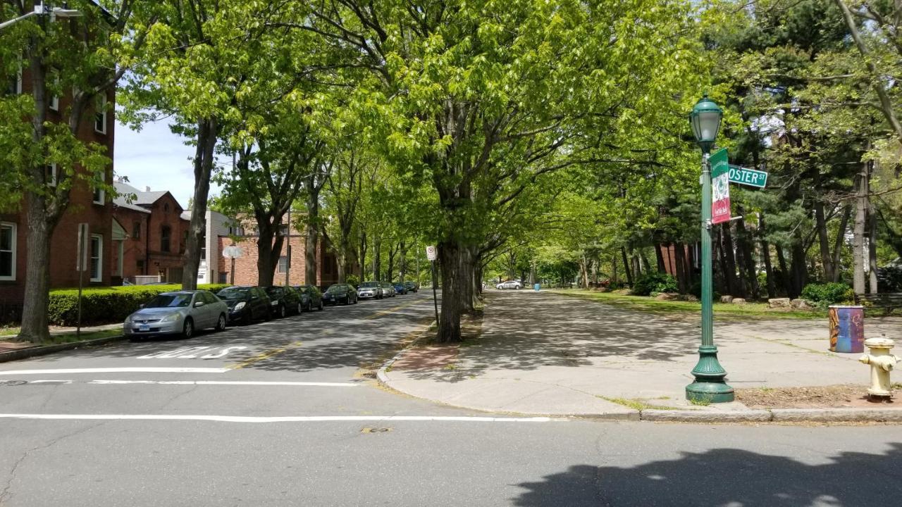 Lovely 2Br Apartment By Wooster Square- Great Neighborhood New Haven Bagian luar foto